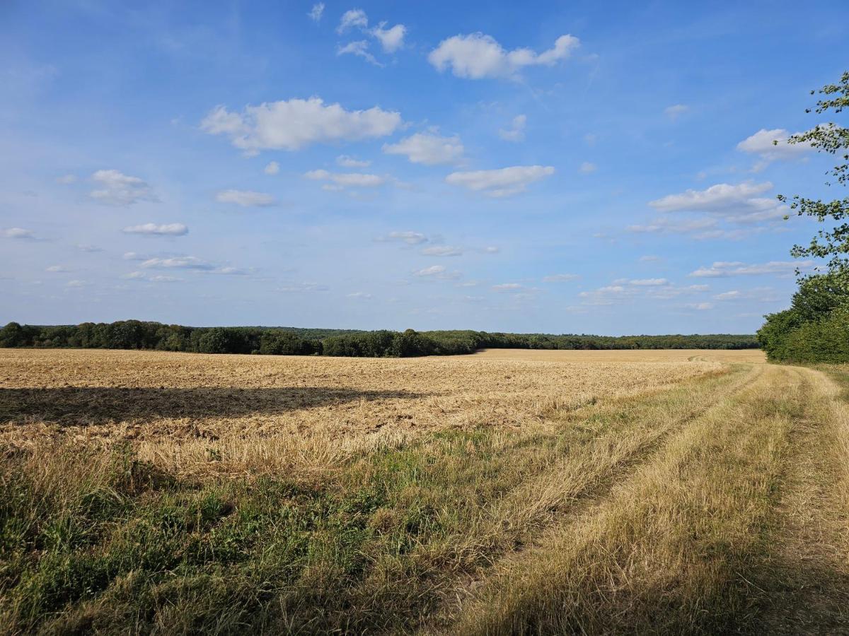 La Cle Des Champs Villa Videlles Екстериор снимка